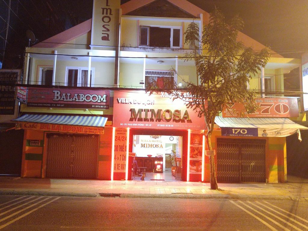 Mimosa Hotel דה לאט מראה חיצוני תמונה